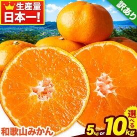 【ふるさと納税】【年内発送!!】【訳あり/サイズ不選別】 和歌山みかん 選べる 内容量 5kg 約10kg 和歌山県産 《2025年内発送予定》たっぷり ご家庭用 2L～2S 産地直送 みかん 旬 蜜柑 ミカン 柑橘 果物 フルーツ 和歌山県 岩出市