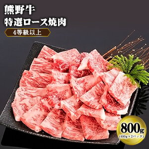 yӂ邳Ɣ[ŁzuF싍vI[Xē800g 4ȏ Џs30ȓɏoח\(yj)ta̎R os