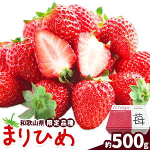 yӂ邳Ɣ[Łz ܂Ђ 500g (250g×2pbN) JA킩 I̗n{s2{-4{oח\(yj)ta̎R os C`S   ܂Ђ ʕ  t