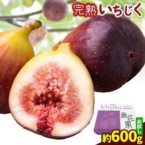 yӂ邳Ɣ[Łzys\ze n 600g (300g×2pbN) pbN  C`WN ԉ JA킩 I̗n{s2025N9{-11{oׁt a̎R os 