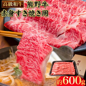 yӂ邳Ɣ[Łza̎RY a F싍 ԐgĂp 600g GoO[s30ȓɏoח\(yj)t a̎R os F싍    F싍 a 