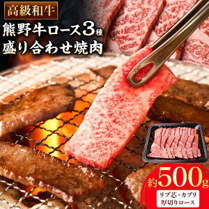 yӂ邳Ɣ[Łza̎RY a F싍 [Xē 500g GoO[s30ȓɏoח\(yj)t a̎R os    F싍 a 