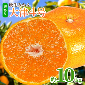 yӂ邳Ɣ[Łz݂ 󂠂 Ӑ݂4 10kg 5kg 2kg Iׂe Ӑ݂ ΒJNs1{-2{oׁta̎R os  ʕ t[c k 񂹃t[