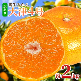 【ふるさと納税】みかん 訳あり 晩生みかん大津4号 10kg 5kg 2kg 選べる内容量 晩生みかん 石谷普朗《1月中旬-2月中旬頃出荷》和歌山県 岩出市 送料無料 果物 フルーツ 柑橘類 お取り寄せフルーツ ミカン