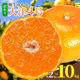【ふるさと納税】みかん 訳あり 晩生みかん大津4号 10kg 5kg 2kg 選べる内容量 晩生みかん 石谷普朗《1月中旬-2月中旬頃出荷》和歌山県 岩出市 送料無料 果物 フルーツ 柑橘類 お取り寄せフルーツ ミカン