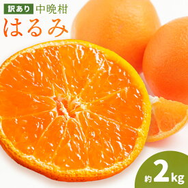 【ふるさと納税】みかん 訳あり 10kg 5kg 2kg 選べる内容量 中晩柑 はるみ みかん 石谷普朗《2月上旬-3月中旬頃出荷》和歌山県 岩出市 送料無料 果物 フルーツ 柑橘類 お取り寄せフルーツ ミカン