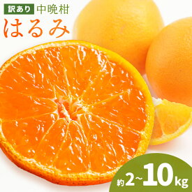 【ふるさと納税】みかん 訳あり 10kg 5kg 2kg 選べる内容量 中晩柑 はるみ みかん 石谷普朗《2月上旬-3月中旬頃出荷》和歌山県 岩出市 送料無料 果物 フルーツ 柑橘類 お取り寄せフルーツ ミカン