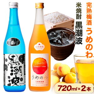 yӂ邳Ɣ[ŁzĒg n썂~߂̂ n~ 720ml 2{Zbg ̂˂s30ȓɏoח\(yj)ta̎R os gGYX { Ė{iďĒ   