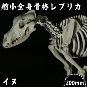 yӂ邳Ɣ[ŁzyCk z k SgivJ / vJ W{ RNV vf W{ vJ  tBMA CeA ͌^   i W ~j`A 3D