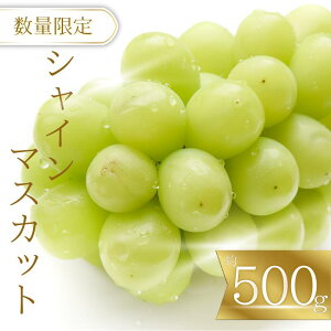 �y�ӂ邳�Ɣ[�Łz ����s�\�񁙋I���쒬�Y �V���C���}�X�J�b�g (��500g)�y2026�N9����{�`���������v���܂��B�z/ �Ԃǂ� �M�t�g ���� �{ �t���[�c �ʕ� �a�̎R 9��