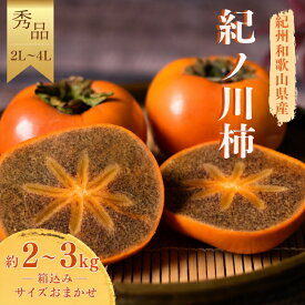 【ふるさと納税】 紀ノ川柿 約 2kg ～ 3kg 秀品 ( 2L ~ 4L サイズおまかせ ) / カキ 甘い 美味しい 紀美野町産 ※2026年10月中旬～11月上旬に順次発送