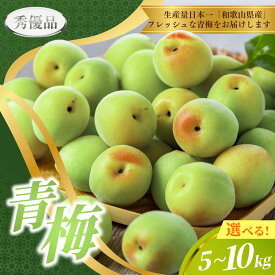 【ふるさと納税】【先行予約】青梅 5kgまたは10kg ※秀優品　※サイズ混合 【2026年6月～順次発送予定】＜味好農園＞/ 梅 青梅 梅干 梅干し 梅酒 お酒 シロップ ジュース【agy030】