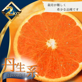 【ふるさと納税】【L～3Lサイズおまかせ】※秀優混合 丹生系みかん 2kg ※箱込み【2026年2月初旬から2月下旬頃までに順次出荷】＜味好農園＞/ 丹生系 にゅうけい みかん 柑橘 果物 フルーツ ミカン 訳あり 秀品 優品