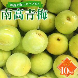 yӂ邳Ɣ[Łz ~ ~ IB 썂~ 10kg L`2LTCY܂ I쒬Y yJAȂ݂ˁzy2025N6{菇v܂Bz/ ~ IB썂~ a̎RY ~ ~ ~Vbv ~