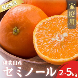 yӂ邳Ɣ[Łzys\z󂠂 ƒp Z~m[ a̎R Lc S`2LTCY 傫C yIׂeʁz 2kg 3kg 5kg y4{`5{ɏz/ ݂ t[c ʕ 