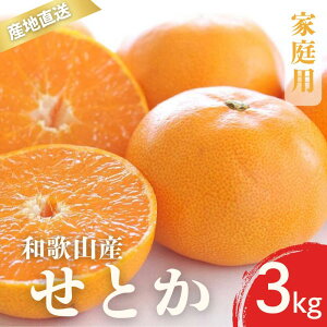 yӂ邳Ɣ[Łzys\z ƒp Ƃ a̎R Lc S`3LTCY 傫C 3kg y2{`3{ɏz / ݂ t[c ʕ   k