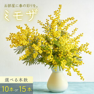 yӂ邳Ɣ[Łzys\z ` t̖K ` ~U qȂFarm a̎R I쒬r/  A v^[ t[ vg ԕr AJVA ~U n[u v[g Mtg