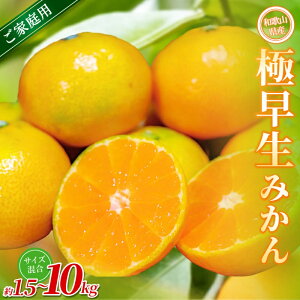 yӂ邳Ɣ[ŁzyƒpzI ɑ݂ 1.5kg ~10kg a̎RY 2S~2LTCY2025N10{`{ɏ