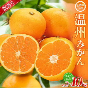 yӂ邳Ɣ[Łzy󂠂z B݂ 2kg ~10kg a̎RY 2S~2LTCY2025N11{`2026N2{ɏ