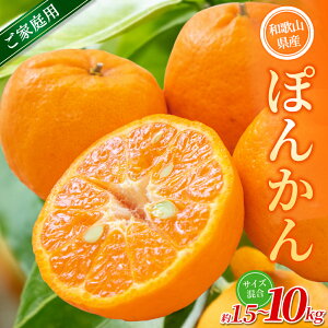 yӂ邳Ɣ[ŁzyƒpzI ۂ񂩂 1.5kg ~10kg a̎RY 2S~2LTCY2026N1{`2{ɏ