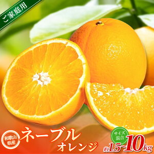 【ふるさと納税】【ご家庭用】手選別 ネーブルオレンジ 約1.5kg ~約10kg 和歌山県産 2S~2Lサイズ混合※2026年1月上旬〜2月中旬頃に順次発送