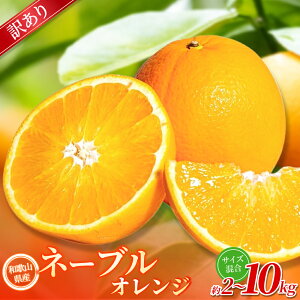 yӂ邳Ɣ[Łzy󂠂zI l[uIW 2kg ~10kg a̎RY 2S~2LTCY2026N1{`2{ɏ