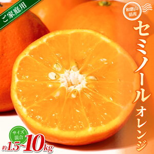 【ふるさと納税】【ご家庭用】手選別 セミノールオレンジ 約1.5kg ~約10kg 和歌山県産 2S~2Lサイズ混合※2026年4月中旬〜5月中旬頃に順次発送