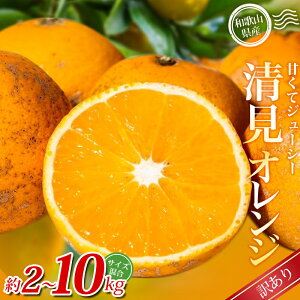 yӂ邳Ɣ[Łzy󂠂zI IW 2kg ~10kg a̎RY 2S~2LTCY2026N2{`5{ɏ