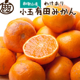 【ふるさと納税】【選べる容量】家庭用 小さな有田みかん (S以下) 【訳あり】【光センサー選果】＜2025年10月より順次発送予定＞ オレンジ 小玉 訳あり 有田 有田みかん 和歌山 柑橘 訳アリ 小玉みかん