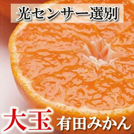 【ふるさと納税】家庭用 大きな有田みかん (2L以上混合) 【先行予約】【光センサー選果】＜2025年11月より順次発送＞/ 厳選 みかん