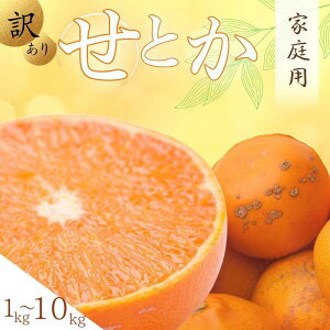 yӂ邳Ɣ[Łzƒp Ƃ yIׂeʁz 1kg 2.5kg 5kg 7.5kg 10kgykEt݂̉lzy킯E󂠂zyZT[IʁEH׍oׁzkCEEzs 2026N2