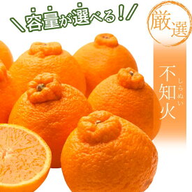 【ふるさと納税】【選べる容量】＜先行予約＞厳選 不知火 1kg 2.5kg 5kg 7.5kg 10kg【デコポンと同品種・人気の春みかん】＜2月より発送＞ ※北海道・沖縄・離島への配送不可 / しらぬい デコポン みかん ミカン 柑橘 果物 くだもの フルーツ 果実