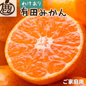 【ふるさと納税】 家庭用 有田みかん サイズ混合 (2S～2L)【選べる容量・発送時期】1kg 2.5kg 5kg 7.5kg 10kg 【わけあり・訳あり】 ※2025年10～順次発送予定 / みかん 果物 フルーツ 柑橘 和歌山 有田 ミカン くだもの 訳アリ 訳アリ品