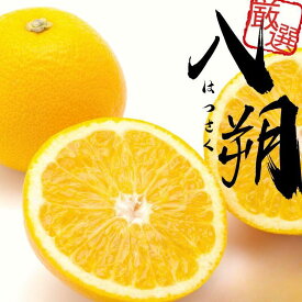 【ふるさと納税】 厳選 はっさく ＜1月より発送＞ 【先行予約】 【八朔みかん】 / ハッサク みかん くだもの わかやま 和歌山 有田みかん ミカン 果物 おすすめ 柑橘 フルーツ 農家直送