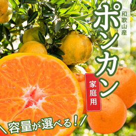 【ふるさと納税】＜1月より発送＞ 【先行予約】 家庭用 ポンカン 1kg 2.5kg 5kg 7.5kg 10kg （傷み補償分付）＜2026年1月～2月下旬に順次発送＞ ※北海道・沖縄・離島への配送不可 / みかん 果物 フルーツ オレンジ 柑橘 ぽんかん 和歌山 有田みかん 和歌山 おすすめ