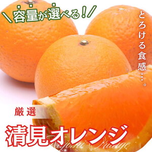yӂ邳Ɣ[ŁzI  yIׂeʁz 1kg 2.5kg 5kg 7.5kg 10kgyZT[Hoׁzy㊮n݃IWE^S[Ez2026N2`3{ɏ kCE