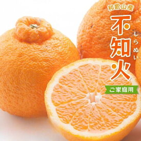 【ふるさと納税】【選べる内容量】家庭用 不知火 先行予約 1kg 2.5kg 5kg 7.5kg 10kg【デコポンと同品種・人気の春みかん】※2月より発送 ※北海道・沖縄・離島への配送不可 / 訳あり しらぬい デコポン みかん ミカン 柑橘 果物 くだもの フルーツ