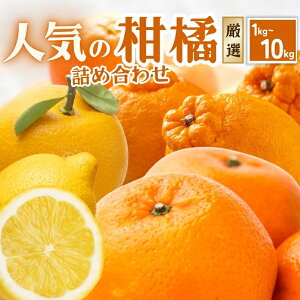 【ふるさと納税】厳選 柑橘詰合せ 【選べる容量】1kg 2.5kg 5kg 7.5kg 10kg 【有田の春みかん詰め合わせ・フルーツ詰め合せ・オレンジつめあわせ】【光センサー選別】<2026年1月〜4月下旬ごろに