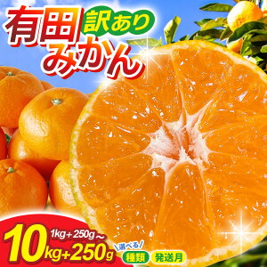 yӂ邳Ɣ[Łz ƒp Lc݂ TCY (2S`2L)yIׂeʁEz1kg 2.5kg 5kg 7.5kg 10kg y킯E󂠂z 2025N10`\ / ݂ ʕ t[c k a̎R L