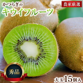 【ふるさと納税】【先行予約】 先行予約！和歌山県産 秀品 キウイフルーツ 大玉15個入 こだわり農家厳選  【2026年12月中旬～2027年1月中旬頃に順次発送予定】/ キウイ キウイフルーツ 果物 フルーツ おやつ【kgr021】