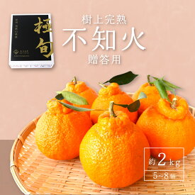 【ふるさと納税】【先行予約】【数量わずか】樹上完熟しらぬい（不知火） 5個~8個 秀品 2026年2月下旬～2026年4月中旬頃に順次発送予定（お届け日指定不可）/ 和歌山 みかん しらぬい 不知火 フルーツ 柑橘 蜜柑 果物 くだもの