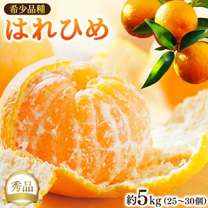 【ふるさと納税】【先行予約】希少種みかん はれひめ 秀品 約5kg (25個〜30個) ※2025年12月中旬〜2026年2月初旬頃に順次発送予定(お届け日指定不可)/ 和歌山 みかん ミカン はれひめ フルーツ
