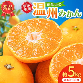 【ふるさと納税】【先行予約】和歌山県産温州みかん 秀品　約5kg（約40個～60個入）（2026年11月初旬頃から2026年12月中旬頃順次発送予定）/ 和歌山 みかん ミカン はれひめ フルーツ 柑橘 蜜柑 果物 くだもの 旬 産地直送