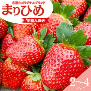 yӂ邳Ɣ[Łzys\z܂Ђ  E yIׂpbNz2pbN 4pbN / 2026N1{`3ɏ\i͂wsj/   ܂Ђ a̎R t