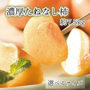 yӂ邳Ɣ[ŁzyIׂTCYzya̎Ruhz Z˂Ȃ`@Gi 7.5kg M / L`4LTCY 2025N10{`11{\ / Ȃ 햳 ^lȂ ` t[c 