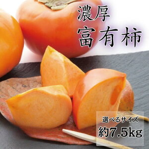 yӂ邳Ɣ[ŁzyIׂTCYzyH̔zya̎Ruhz Z!xL`@Gi MTCY / LTCY 7.5kg 2025N11{`12{\ /  JL ` t[c ʕ 