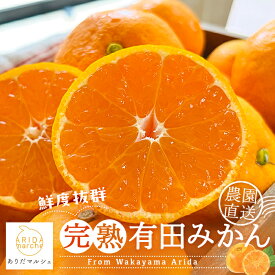 【ふるさと納税】農園直送!完熟有田みかん【サイズ混合】　容量・配送時期が選べる！※11月上旬～12月下旬頃（順次発送予定）（お届け日指定不可）※北海道・沖縄・離島配送不可 / 和歌山 ミカン オレンジ 柑橘 フルーツ 果物 ブランド 旬