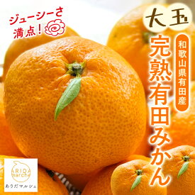 【ふるさと納税】【選べる容量】【果汁たっぷり】迫力満点！ 大粒 有田みかん 【選べる容量】【1月中旬～12月下旬（順次発送予定）】※北海道・沖縄・離島配送不可 / 和歌山 ミカン オレンジ 柑橘 フルーツ 果物 くだもの 旬