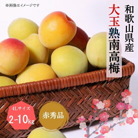 【ふるさと納税】【先行予約】【梅干・梅酒用】【選べる容量】大玉4Lサイズ　熟南高梅 赤秀品＜2026年6月上旬～7月上旬ごろに順次発送予定＞（お届け日指定不可）(お届け日指定不可) / 梅 梅干 梅酒 秀品
