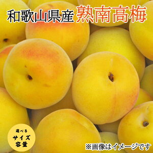 yӂ邳Ɣ[Łzys\zy~E~pzyIׂeʁzyIׂTCYzn썂~2026N6{`7{ɏ\聄(͂ws) / t[c ʕ  Hi 